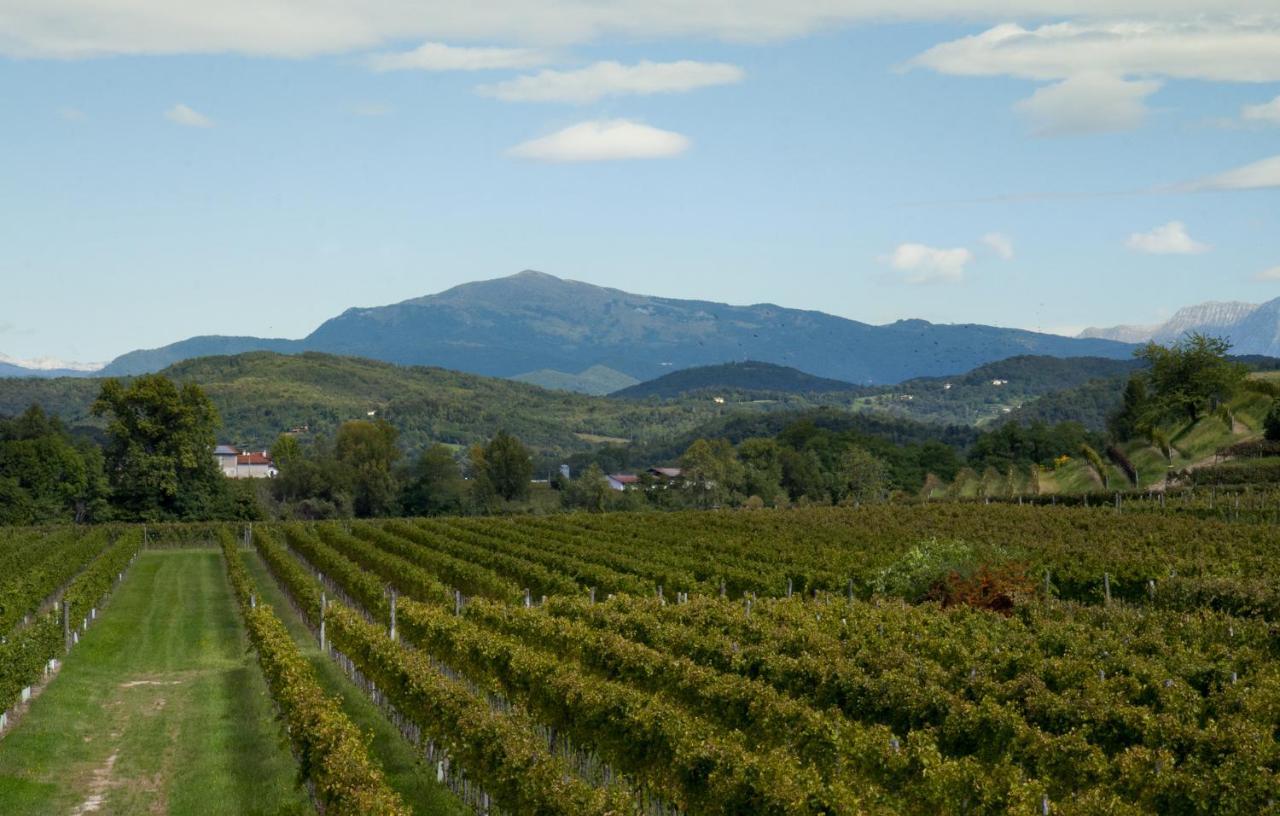 Alloggio Agrituristico Corte San Biagio Corno di Rosazzo Exteriér fotografie