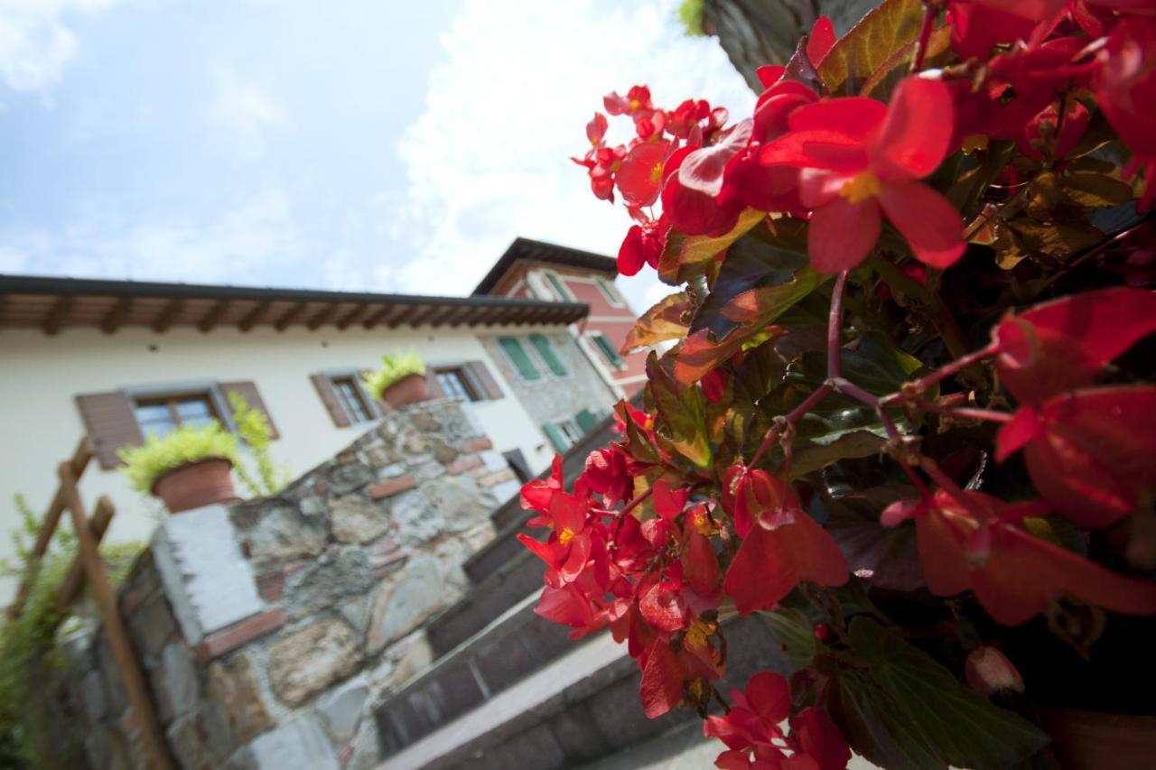 Alloggio Agrituristico Corte San Biagio Corno di Rosazzo Exteriér fotografie