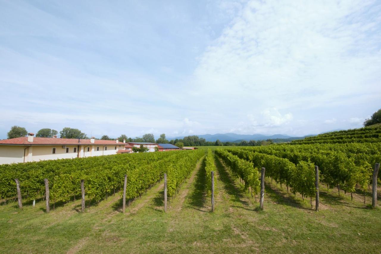 Alloggio Agrituristico Corte San Biagio Corno di Rosazzo Exteriér fotografie