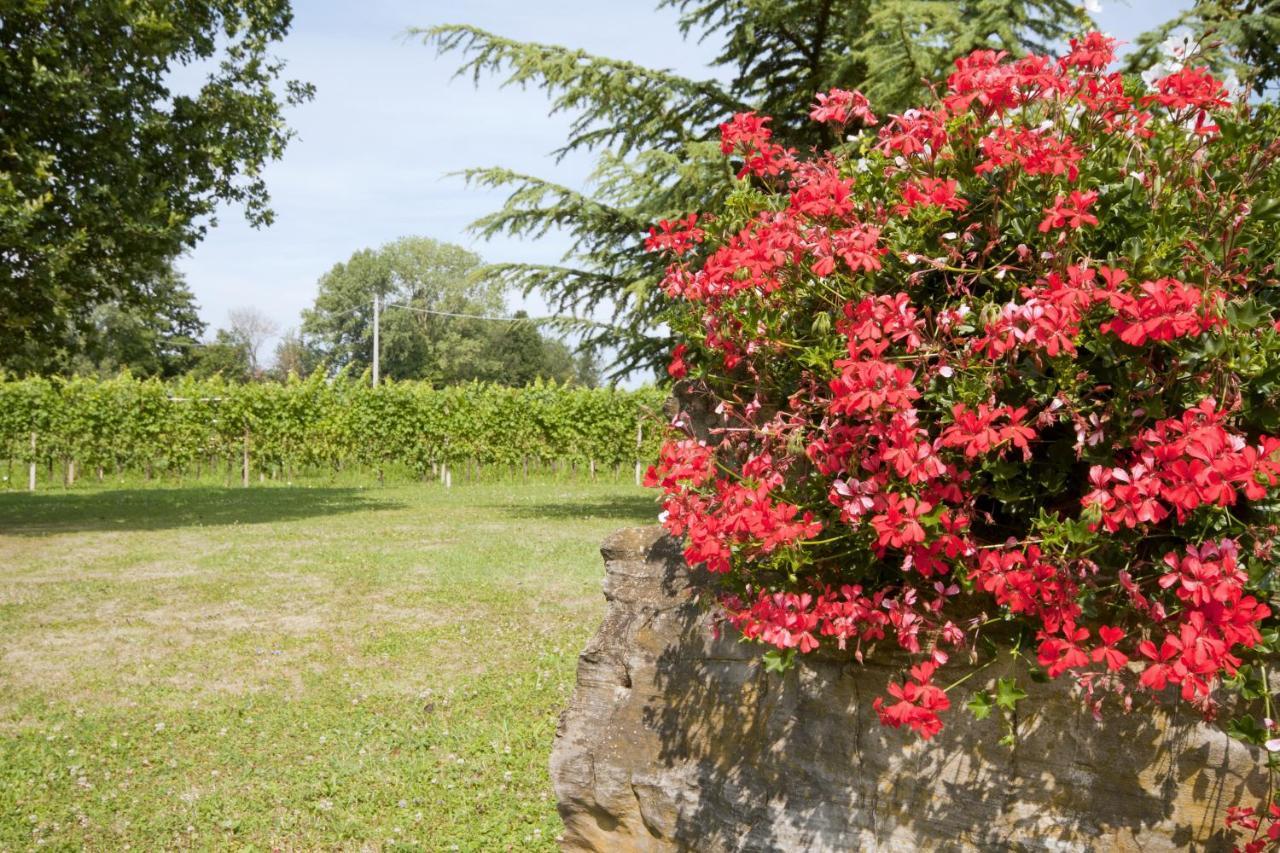 Alloggio Agrituristico Corte San Biagio Corno di Rosazzo Exteriér fotografie